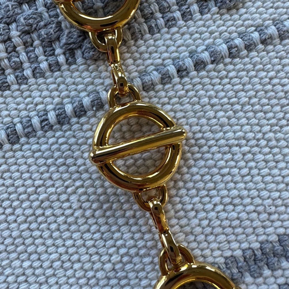 Chain Belt - Picture 3 of 6
